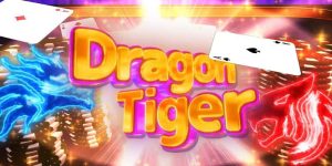 Giới thiệu về tool rồng hổ